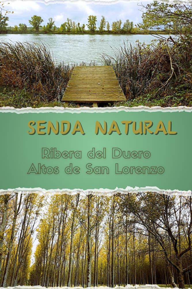 SENDA PORTADA